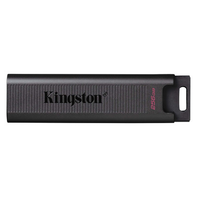 Kingston Technology DataTraveler Max 256GB USB flash drive - Zwart