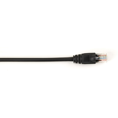 Black Box CAT5EPC-006-BK UTP-kabels
