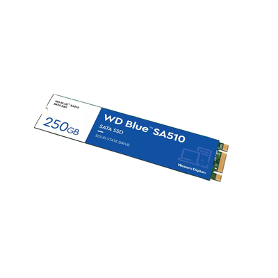 Western Digital WDS250G3B0B solid-state drives